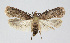 ( - BGE_00225_F01)  @11 [ ] Creative Commons  Attribution Non-Commercial Share-Alike (2023) Kai Berggren NTNU University Museum, Department of Natural History