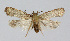  ( - BGE_00225_F02)  @11 [ ] Creative Commons  Attribution Non-Commercial Share-Alike (2023) Kai Berggren NTNU University Museum, Department of Natural History