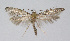  ( - BGE_00225_F06)  @11 [ ] Creative Commons  Attribution Non-Commercial Share-Alike (2023) Kai Berggren NTNU University Museum, Department of Natural History