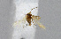  ( - BGE_00225_H01)  @11 [ ] Creative Commons  Attribution Non-Commercial Share-Alike (2023) Kai Berggren NTNU University Museum, Department of Natural History