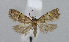  ( - BGE_00225_H10)  @11 [ ] Creative Commons  Attribution Non-Commercial Share-Alike (2023) Kai Berggren NTNU University Museum, Department of Natural History