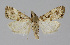  ( - BGE_00226_C04)  @11 [ ] Creative Commons  Attribution Non-Commercial Share-Alike (2023) Kai Berggren NTNU University Museum, Department of Natural History