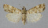  ( - BGE_00226_C05)  @11 [ ] Creative Commons  Attribution Non-Commercial Share-Alike (2023) Kai Berggren NTNU University Museum, Department of Natural History