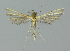  ( - BGE_00226_D05)  @11 [ ] Creative Commons  Attribution Non-Commercial Share-Alike (2023) Kai Berggren NTNU University Museum, Department of Natural History
