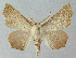  ( - BGE_00226_H06)  @11 [ ] Creative Commons  Attribution Non-Commercial Share-Alike (2023) Kai Berggren NTNU University Museum, Department of Natural History