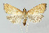  ( - BGE_00269_B09)  @11 [ ] Creative Commons  Attribution Non-Commercial Share-Alike (2024) Kai Berggren NTNU University Museum, Department of Natural History