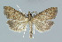  ( - BGE_00269_B12)  @11 [ ] Creative Commons  Attribution Non-Commercial Share-Alike (2024) Kai Berggren NTNU University Museum, Department of Natural History