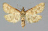  ( - BGE_00269_C01)  @11 [ ] Creative Commons  Attribution Non-Commercial Share-Alike (2024) Kai Berggren NTNU University Museum, Department of Natural History