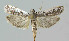  ( - BGE_00269_C06)  @11 [ ] Creative Commons  Attribution Non-Commercial Share-Alike (2024) Kai Berggren NTNU University Museum, Department of Natural History