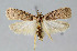 ( - BGE_00270_C02)  @11 [ ] Creative Commons  Attribution Non-Commercial Share-Alike (2024) Kai Berggren NTNU University Museum, Department of Natural History