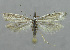  ( - BGE_00270_G01)  @11 [ ] Creative Commons  Attribution Non-Commercial Share-Alike (2024) Kai Berggren NTNU University Museum, Department of Natural History