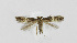  ( - BGE_00270_H04)  @11 [ ] Creative Commons  Attribution Non-Commercial Share-Alike (2024) Kai Berggren NTNU University Museum, Department of Natural History