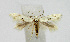  ( - BGE_00270_H07)  @11 [ ] Creative Commons  Attribution Non-Commercial Share-Alike (2024) Kai Berggren NTNU University Museum, Department of Natural History