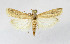  ( - BGE_00257_B06)  @11 [ ] Creative Commons  Attribution Non-Commercial Share-Alike (2025) Kai Berggren NTNU University Museum, Department of Natural History
