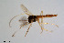  ( - BGE_00234_B10)  @11 [ ] Creative Commons  Attribution Non-Commercial Share-Alike (2023) NTNU University Museum, Department of Natural History NTNU University Museum, Department of Natural History