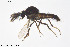  ( - BGE_00230_A01)  @11 [ ] Creative Commons  Attribution Non-Commercial Share-Alike (2023) NTNU University Museum, Department of Natural History NTNU University Museum, Department of Natural History