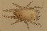  ( - GBOL13614)  @11 [ ] CreativeCommons - Attribution Non-Commercial Share-Alike (2015) Unspecified SNSB, Zoologische Staatssammlung Muenchen