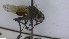 ( - NHMO-ENT-438124)  @11 [ ] by-nc-sa (2023) Unspecified University of Oslo, Natural History Museum