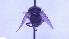  ( - NHMO-ENT-25549)  @11 [ ] by-nc-sa (2023) Unspecified University of Oslo, Natural History Museum