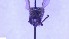  ( - NHMO-ENT-25550)  @11 [ ] by-nc-sa (2023) Unspecified University of Oslo, Natural History Museum