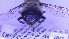  ( - NHMO-ENT-96327)  @11 [ ] by-nc-sa (2023) Unspecified University of Oslo, Natural History Museum