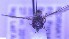  ( - NHMO-ENT-495880)  @11 [ ] by-nc-sa (2023) Unspecified University of Oslo, Natural History Museum