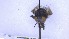  ( - NHMO-ENT-22320)  @11 [ ] by-nc-sa (2023) Unspecified University of Oslo, Natural History Museum
