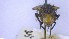  ( - NHMO-ENT-96866)  @11 [ ] by-nc-sa (2023) Unspecified University of Oslo, Natural History Museum