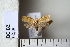  ( - CCDB-11131-E08)  @13 [ ] Copyright  B. Zlatkov 2011 Unspecified