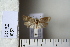 ( - CCDB-11131-E09)  @12 [ ] Copyright  B. Zlatkov 2011 Unspecified