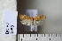  ( - CCDB-11131-E12)  @13 [ ] Copyright  B. Zlatkov 2011 Unspecified