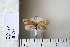 ( - CCDB-11131-F10)  @13 [ ] Copyright  B. Zlatkov 2011 Unspecified