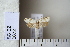  ( - CCDB-11131-F12)  @13 [ ] Copyright  B. Zlatkov 2011 Unspecified