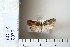  ( - CCDB-11131-G01)  @13 [ ] Copyright  B. Zlatkov 2011 Unspecified