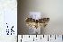  ( - CCDB-11131-G02)  @12 [ ] Copyright  B. Zlatkov 2011 Unspecified