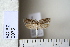  ( - CCDB-11131-G03)  @12 [ ] Copyright  B. Zlatkov 2011 Unspecified