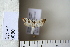  ( - CCDB-11131-G08)  @12 [ ] Copyright  B. Zlatkov 2011 Unspecified