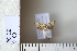  ( - CCDB-11132-B02)  @13 [ ] Copyright  B. Zlatkov 2011 Unspecified