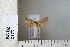  ( - CCDB-11132-G12)  @12 [ ] Copyright  B. Zlatkov 2011 Unspecified