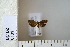  ( - CCDB-11132-H02)  @12 [ ] Copyright  B. Zlatkov 2011 Unspecified