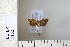  ( - CCDB-11132-H03)  @12 [ ] Copyright  B. Zlatkov 2011 Unspecified