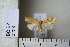  ( - CCDB-11133-B01)  @13 [ ] Copyright  B. Zlatkov 2011 Unspecified