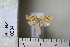  ( - CCDB-11133-B02)  @13 [ ] Copyright  B. Zlatkov 2011 Unspecified