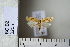  ( - CCDB-11133-B03)  @13 [ ] Copyright  B. Zlatkov 2011 Unspecified