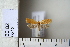  ( - CCDB-11133-B10)  @13 [ ] Copyright  B. Zlatkov 2011 Unspecified