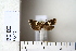  ( - CCDB-11133-B11)  @12 [ ] Copyright  B. Zlatkov 2011 Unspecified