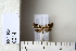  ( - CCDB-11133-B12)  @12 [ ] Copyright  B. Zlatkov 2011 Unspecified
