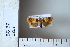  ( - CCDB-11133-G05)  @11 [ ] Copyright  B. Zlatkov 2011 Unspecified