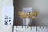 ( - CCDB-11133-H09)  @12 [ ] Copyright  B. Zlatkov 2011 Unspecified