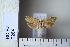  ( - CCDB-11133-H10)  @12 [ ] Copyright  B. Zlatkov 2011 Unspecified